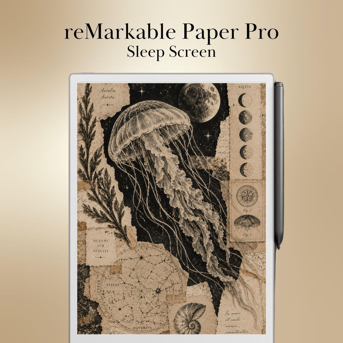 reMarkable Paper Pro & 2 — Antique Collage Sleep Screens, sepia + black & white
