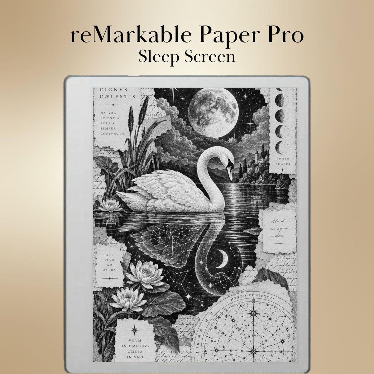 reMarkable Paper Pure & 2 — Antique Collage Sleep Screens, grayscale edition