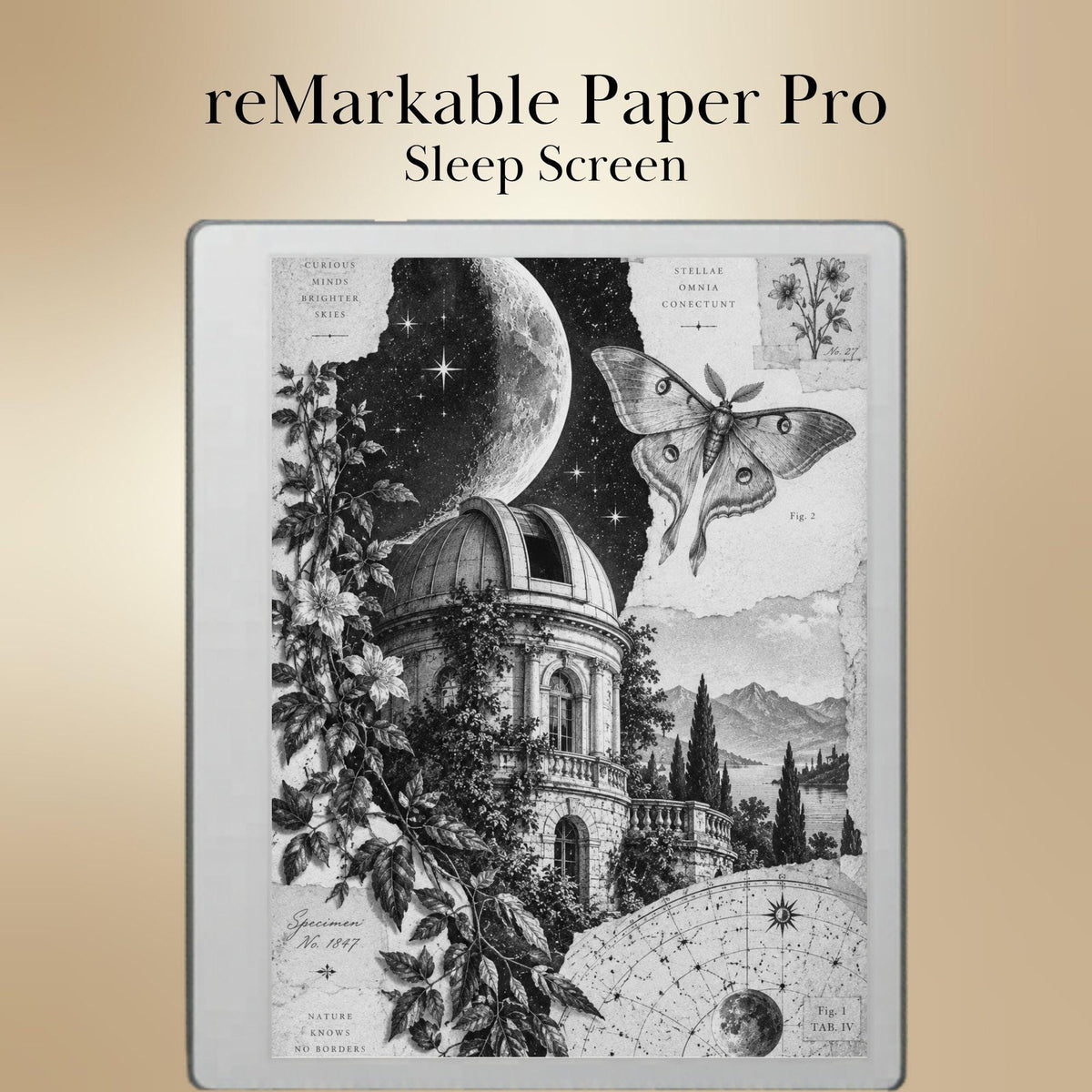 reMarkable Paper Pure & 2 — Antique Collage Sleep Screens, grayscale edition