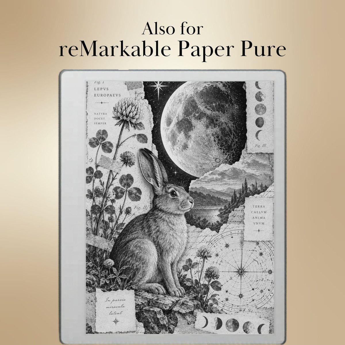 reMarkable Paper Pure & 2 — Antique Collage Sleep Screens, grayscale edition