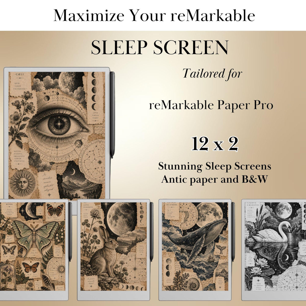 Antic Collage Sleep Screen Bundle for reMarkable Paper Pro, reMarkable Paper Pure & reMarkable 2 | Remarkable Templates