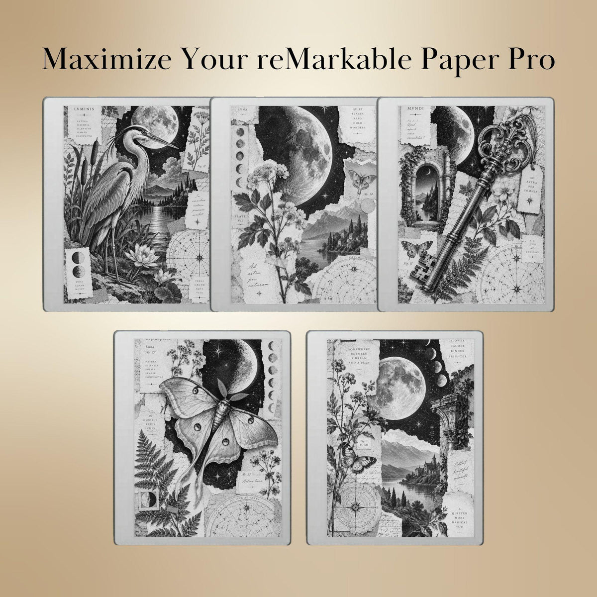 reMarkable Paper Pure & 2 — Antique Collage Sleep Screens, grayscale edition