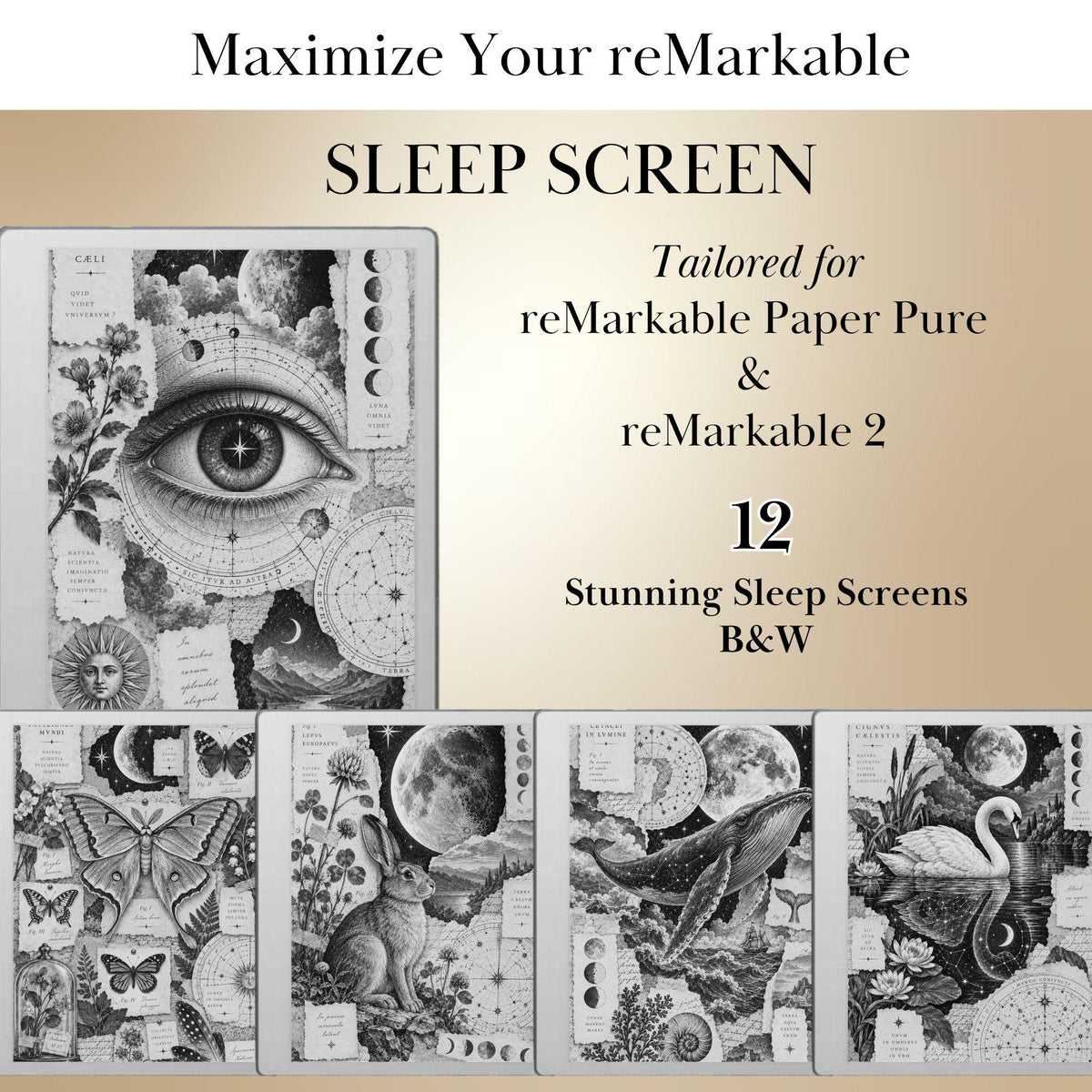 Antic Collage Sleep Screen Bundle for reMarkable Paper Pure & reMarkable 2 | Remarkable Templates